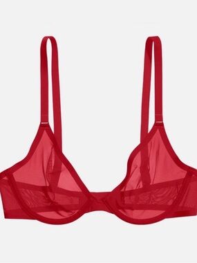 CUUP Sheer Mesh Underwire Bra “The Plunge”